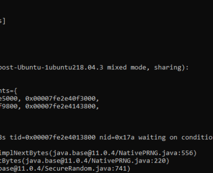 parametry JVM ułatwiające debug