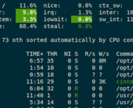Monitoring systemu Linux