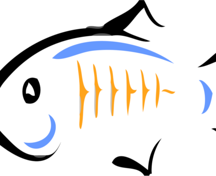 obsługa modułu JK za pomocą apache dla glassfish